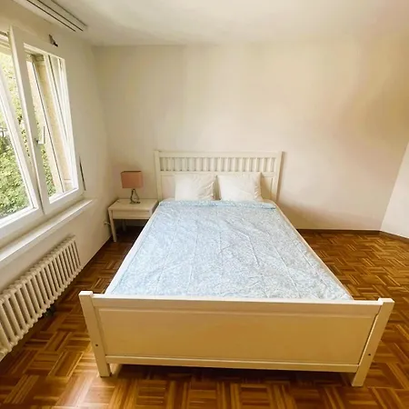 3 Old Town Flat - Munstere Appartement Zurich