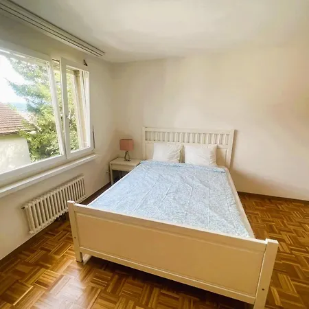 3 Old Town Flat - Munstere *